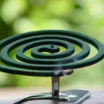 Which is the world’s first mosquito coil?